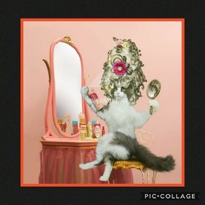 😻💚 Cat Antics 💚😻